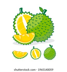 Collection of durian fruits isolated on background. Vector illustration.