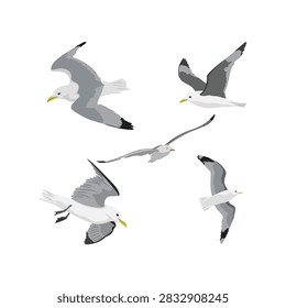 Collection of dynamic flat cartoon simple realistic vector illustration depicting a flock of five beautiful kittiwake seabirds flying actively with open wings, isolated on a clean background from multiple dynamic perspectives.