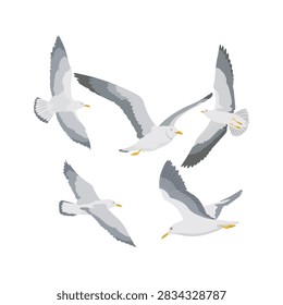 Collection a dynamic simple realistic flat cartoon vector illustration depicting a flock of five seagull seabirds flying actively with open wings against an isolated blank background, captured from multiple dynamic perspectives.