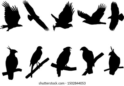 Collection of Eagle, Hawk Bird on tree branch Silhouettes. Vector illustration isolated on white
