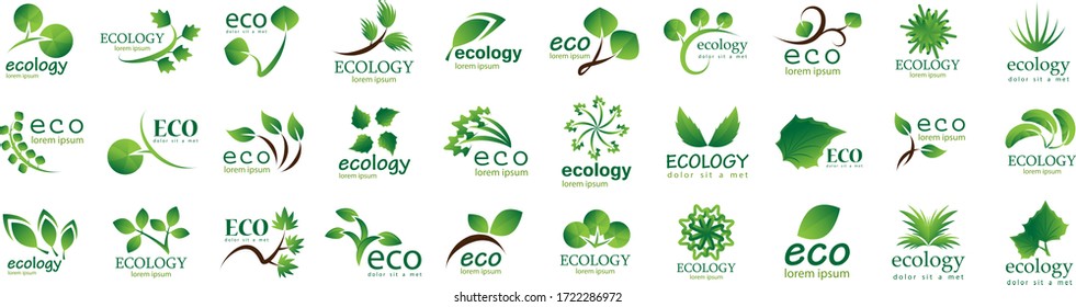 Collection Of Eco And Organic Logo Set - Isolated On White Background - Vector. Eco And Organic Logo Useful For Leaf Icon, Ecology Logo, Eco Symbol And Template Design. Ecology Tree Icons