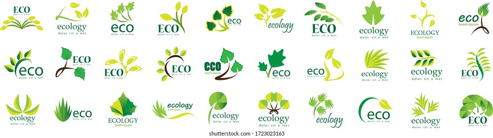 Collection Of Eco And Organic Logo Set - Isolated On White Background - Vector. Eco And Organic Logo Useful For Leaf Icon, Ecology Logo, Eco Symbol And Template Design. Ecology Tree Icons