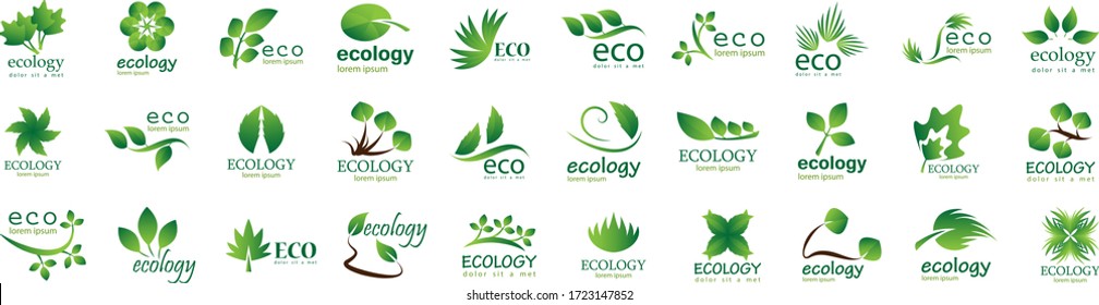 Collection Of Eco And Organic Logo Set - Isolated On White Background - Vector. Eco And Organic Logo Useful For Leaf Icon, Ecology Logo, Eco Symbol And Template Design. Ecology Tree Icons