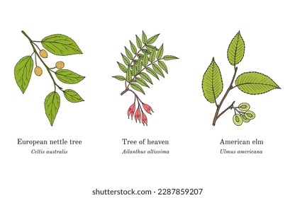 Collection of edible and medicinal plants. Hand drawn botanical vector illustration