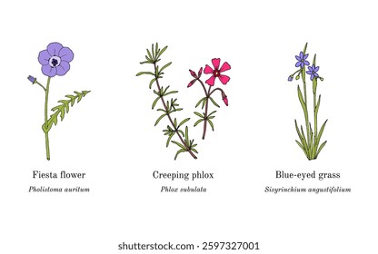 Collection of edible and medicinal plants. Hand drawn botanical vector illustration