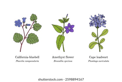 Collection of edible and medicinal plants. Hand drawn botanical vector illustration