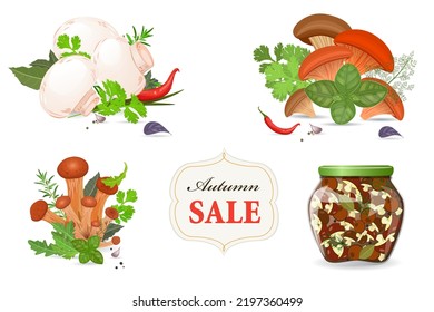 Collection of edible mushrooms. group of champignons with herbs and spices. bunch of armillaria mushroom with twig of rosemary. oysters mushroom with green basil leaf. glass jar with preserved food 