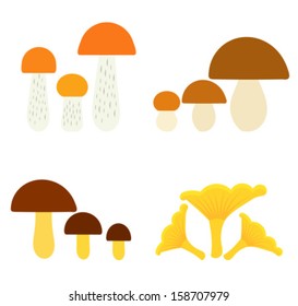 Collection of edible mushrooms. Vector illustration