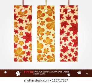 Collection of editable autumn price labels with leaves