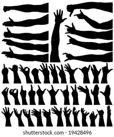Collection of editable vector arm and hand outlines