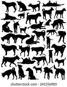 Collection of editable vector silhouettes of a motley group of Bangkok street dogs