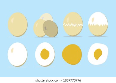 una colección de vectores de huevo que van desde huevos enteros hasta huevos fritos