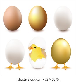 Colección De Huevos, Aislados En Fondo Blanco, Ilustración Vectorial