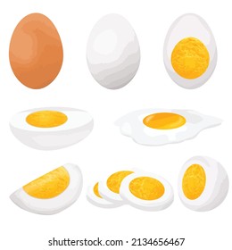 Colección de huevos en diversas formas (enteros, fritos, hervidos, a medias y cortados) sobre fondo blanco, ilustración vectorial