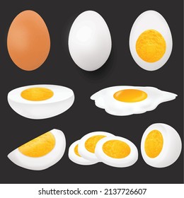 Colección de huevos en diversas formas (enteros, fritos, hervidos, a medias y cortados) sobre fondo oscuro, ilustración vectorial