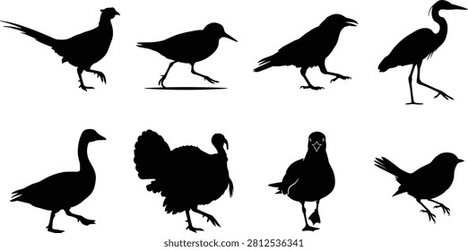 A collection of eight bird silhouettes featuring a pheasant, wild turkey, goose, crow, heron, and seagull walking in a clean flat vector style.
