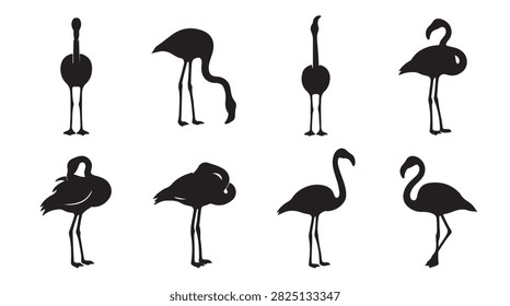 A collection of eight black silhouette illustrations of flamingos in various poses, including standing, feeding, and preening, isolated on a clean white background for versatile design use.