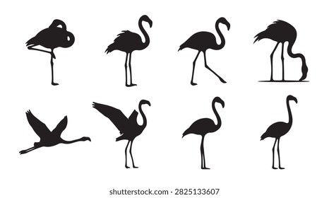 A collection of eight black silhouette illustrations of flamingos in various poses, including standing, walking, feeding, and flying, isolated on a plain white background for versatile design use.