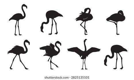 A collection of eight black silhouettes featuring flamingos in various poses, including standing, walking, feeding, and spreading wings, isolated on a plain white background for creative design projects.