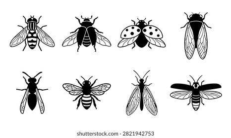 Collection of eight black and white insect illustrations including a bee, ladybug, wasp, and fly