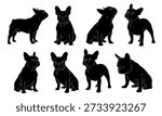 Collection of eight different black silhouettes of French Bulldogs showing various poses like sitting, standing, and looking in different directions. Vector art isolated on white background.