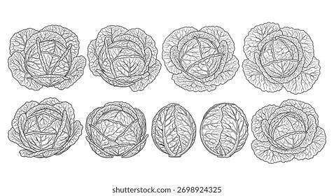 Coleção de oito diferentes objetos de whisk realístico line art esboço vetor