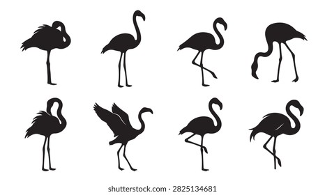 A collection of eight distinct black silhouettes of flamingos in various poses, including standing, preening, and stretching, isolated on a clean white background for versatile design use.