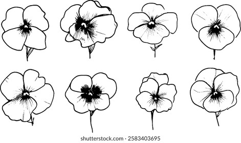 A collection of eight hand-drawn flower illustrations, showcasing various styles and details of petals and centers. Each flower is depicted with a stem, emphasizing their artistic design.