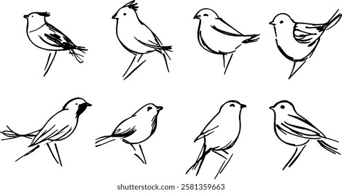 A collection of eight hand-drawn sketches of various birds, showcasing different poses and styles. The birds are illustrated in a minimalist, black and white line art style.