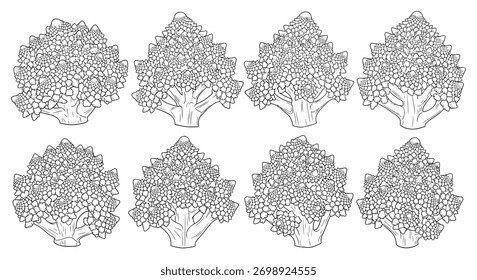 Coleção de oito intrincados floretes de brócolis desenhados à mão com padrões texturais detalhados vetor