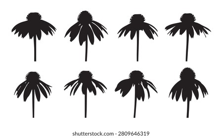 Collection of eight monochrome Echinacea bloom outlines against a stark white canvas. Ideal for graphic design elements logos and branding.