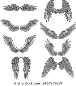 Collection of eight pairs of wings 