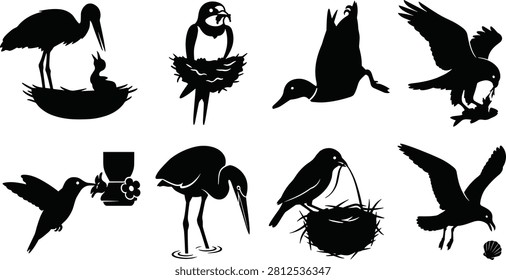 A collection of eight wild bird silhouettes featuring storks nesting, a hummingbird feeding, an eagle hunting fish, and seagulls in a clean flat vector style.