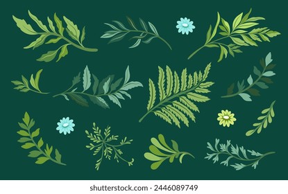 Collection of elegant beautiful tropical plants isolated on background. Cute  leaves for decorative design elements.Vector illustration