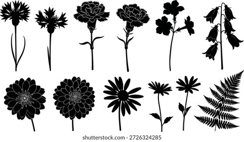 Coleção de elegantes silhuetas de flor preta sobre fundo branco