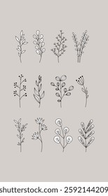 A collection of elegant black line drawings of various plants and flowers arranged in a grid. Set against a soft beige background, these botanical illustrations are perfect for floral designs and deco