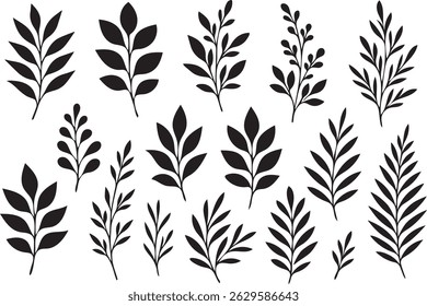 Coleção de elegantes galhos de folhas decorativas preto e branco com várias formas