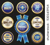 Collection of elegant blue and golden design elements - buttons, badges, labels
