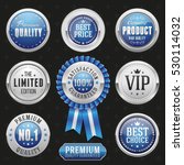 Collection of elegant blue and silver design elements - buttons, badges, labels