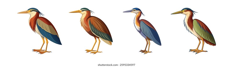 Collection of Elegant Chinese Pond Heron Bird Artwork