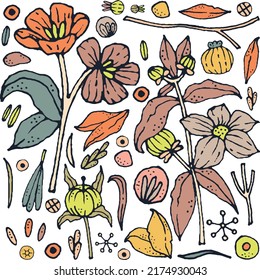 Collection of elegant colorful flowers, floral elements, decorative elements and leaves for invitations, greeting cards, quotes, blogs, posters.