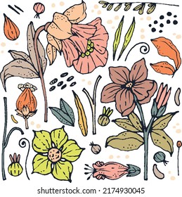 Collection of elegant colorful flowers, floral elements, decorative elements and leaves for invitations, greeting cards, quotes, blogs, posters.