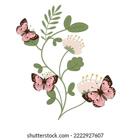 Collection of elegant exotic butterflies isolated on white background. Set of tropical flying insects with colorful wings. Bundle of decorative design elements. Flat vector illustration.