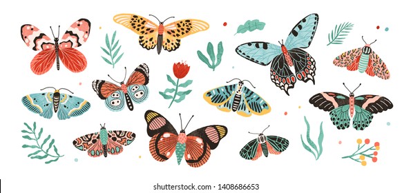 Коллекция элегантных экзотических бабочек и мотыльков, изолированных на белом фоне. Набор тропических летающих насекомых с разноцветными крыльями. Комплект декоративных элементов дизайна. Плоская векторная иллюстрация.