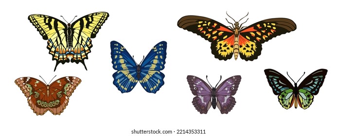 Collection of elegant exotic butterflies and moths isolated on white background. Set of tropical flying insects with colorful wings. Decorative design elements. Flat vector realistic illustration.