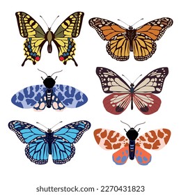 Collection of elegant exotic butterflies and moths isolated on white background. Set of tropical flying insects with colorful wings. Set of decorative design elements. Flat vector illustration.