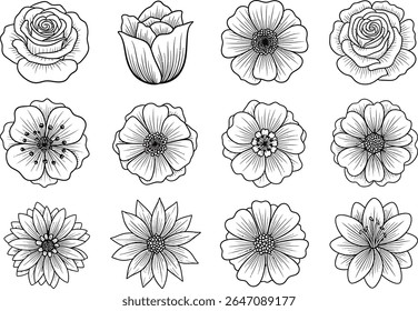 Coleção de flores elegantes, delicadas ilustrações de arte em linha com uma variedade de flores, incluindo rosas e outros intrincados desenhos florais.