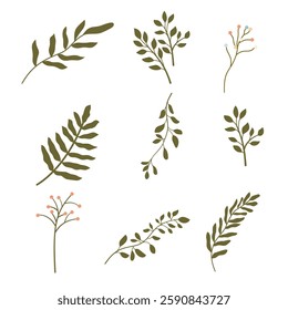 Collection of Elegant Green Botanical Leaf Illustration