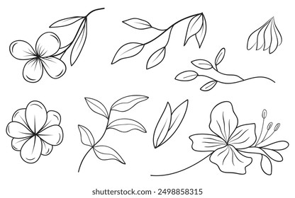 A collection of elegant hand-drawn floral line art illustrations featuring wedding branches, herbs, and minimalist botanical elements,perfect for invitation and save the date cards.