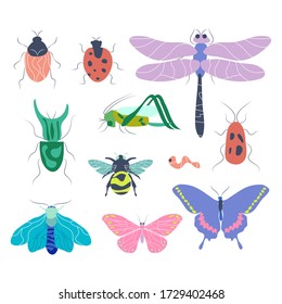 Collection of elegant insect design concepts: butterflies, moths and other beetles isolated on a white background. Decorative design elements. Flat vector illustration.